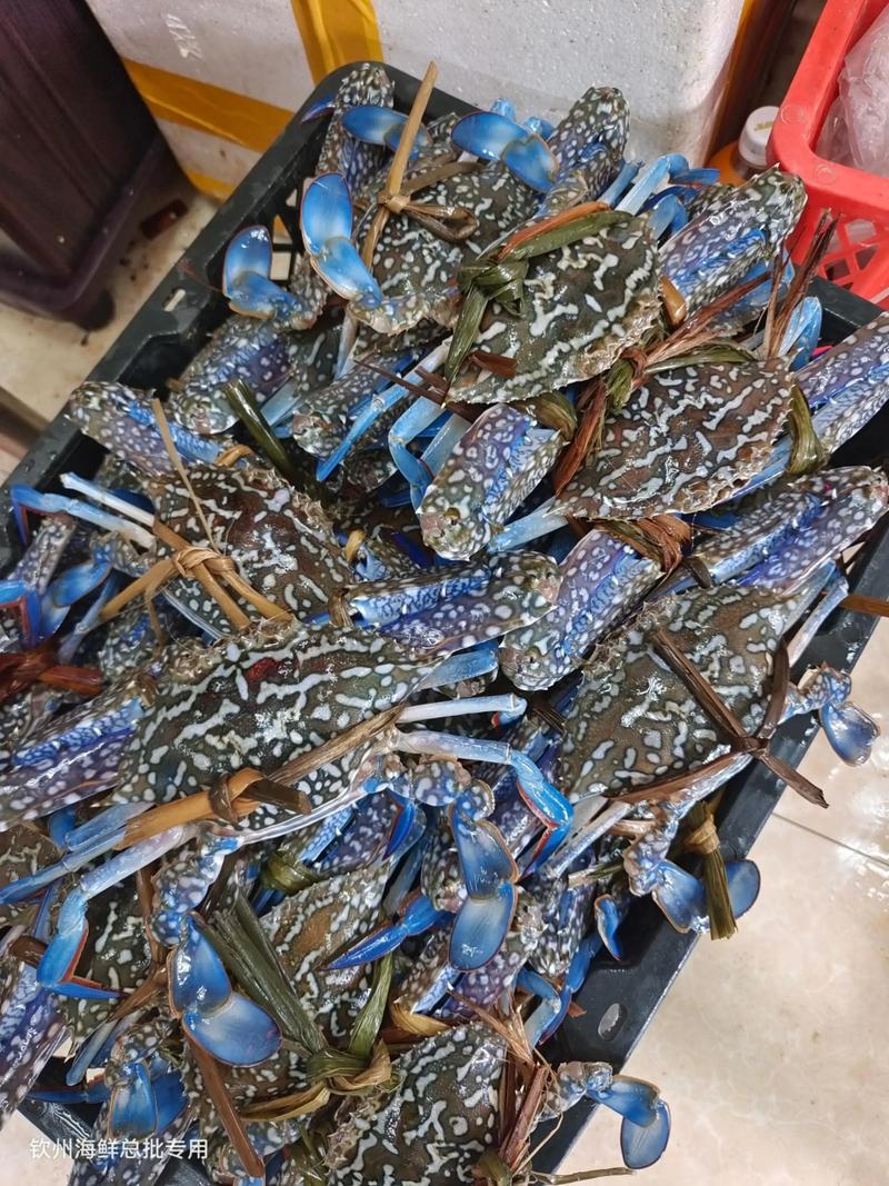 海鲜水产