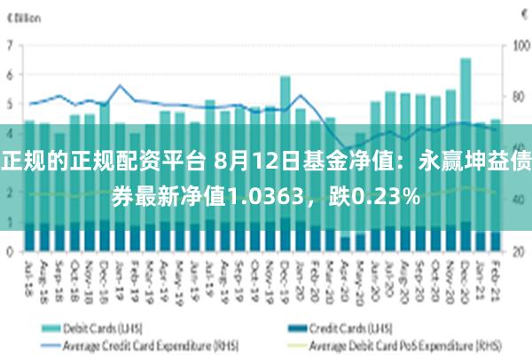正规的正规配资平台 8月12日基金净值：永赢坤益债券最新净值1.0363，跌0.23%