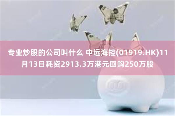 专业炒股的公司叫什么 中远海控(01919.HK)11月13日耗资2913.3万港元回购250万股
