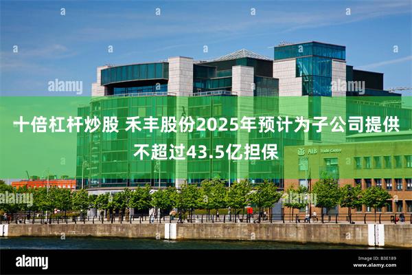 十倍杠杆炒股 禾丰股份2025年预计为子公司提供不超过43.5亿担保