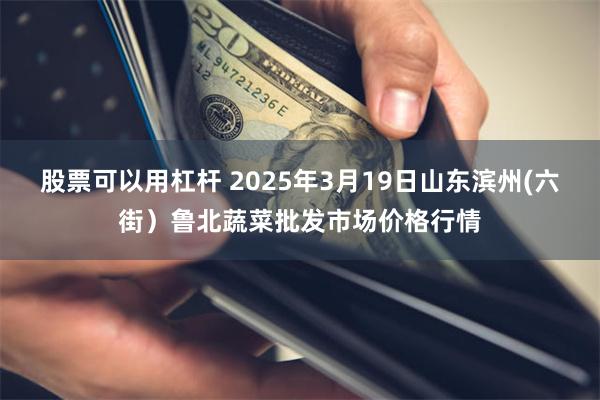 股票可以用杠杆 2025年3月19日山东滨州(六街)鲁北蔬菜批发市场价格行情