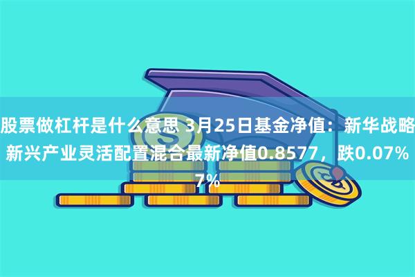 股票做杠杆是什么意思 3月25日基金净值：新华战略新兴产业灵活配置混合最新净值0.8577，跌0.07%
