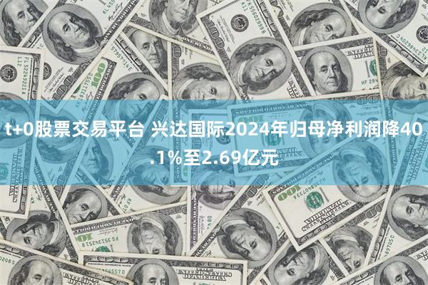 t+0股票交易平台 兴达国际2024年归母净利润降40.1%至2.69亿元