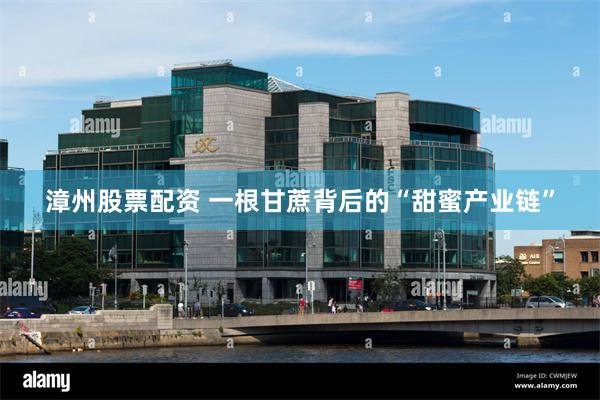 漳州股票配资 一根甘蔗背后的“甜蜜产业链”