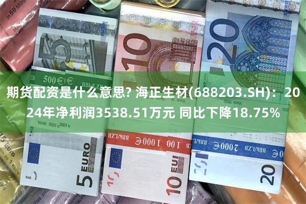 期货配资是什么意思? 海正生材(688203.SH)：2024年净利润3538.51万元 同比下降18.75%