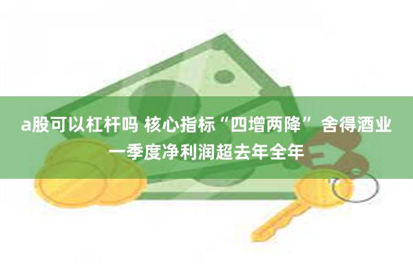 a股可以杠杆吗 核心指标“四增两降” 舍得酒业一季度净利润超去年全年