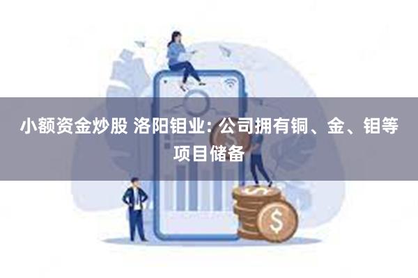 小额资金炒股 洛阳钼业: 公司拥有铜、金、钼等项目储备