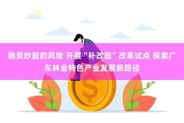 融资炒股的风险 开展“补改投”改革试点 探索广东林业特色产业发展新路径