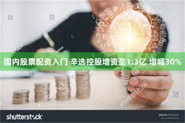 国内股票配资入门 辛选控股增资至1.3亿 增幅30%
