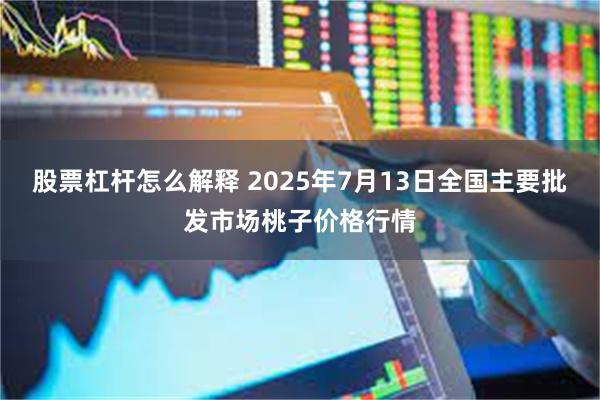 股票杠杆怎么解释 2025年7月13日全国主要批发市场桃子价格行情
