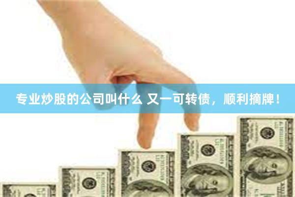 专业炒股的公司叫什么 又一可转债，顺利摘牌！