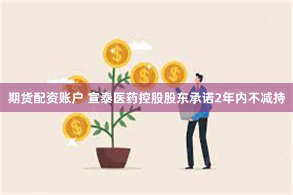 期货配资账户 宣泰医药控股股东承诺2年内不减持